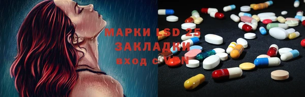 прущие грибы Белокуриха