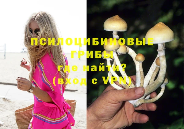 прущие грибы Белокуриха
