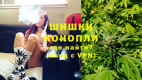 прущие грибы Белокуриха