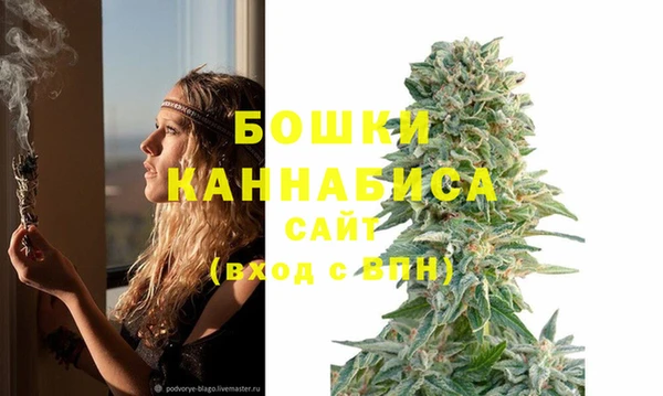 PSILOCYBIN Беломорск